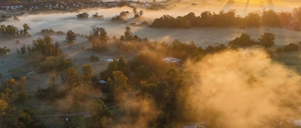 Nebel ist typisch für den Herbst. (Symbolbild) 