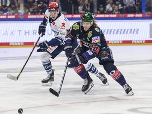 Korbinian Geibel (r.) erzielte das 1:0 für die Eisbären. Doch das reichte nicht.