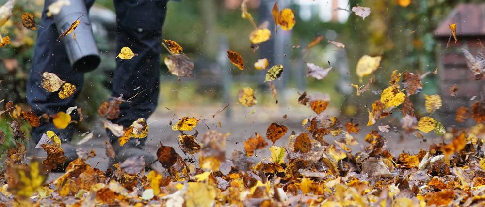 Zürich will den Einsatz nur noch von Oktober bis Dezember erlauben. (Symbolfoto)