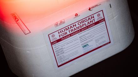 Eine Kühlbox für eine Organspende steht in einem Transporter des Deutschen Roten Kreuzes. (Symbolbild)