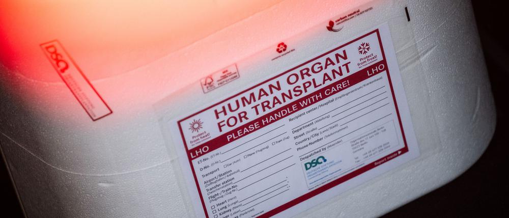 Eine Kühlbox für eine Organspende steht in einem Transporter des Deutschen Roten Kreuzes. (Symbolbild)