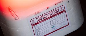 Eine Kühlbox für eine Organspende steht in einem Transporter des Deutschen Roten Kreuzes. (Symbolbild)