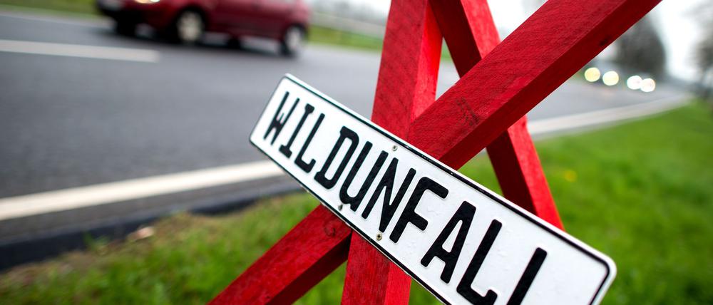 Ein Warnschild an der Stelle eines Wildunfalls in Deutschland. (Symbolbild) 