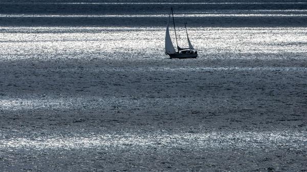 Die Ostsee erhitzt sich fast dreimal so schnell im Vergleich zum globalen Durchschnitt. 