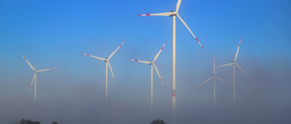 Morgendlicher Nebel steigt über der Hauptstadtregion auf und löst sich im Verlauf des Tages, bis er in der nächsten Nacht zurückkehrt. (Symbolbild)