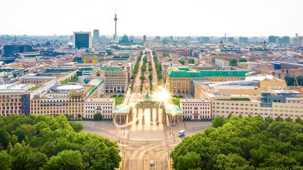 Gestaltung: Tagesspiegel Fotos: AdobeStock, Freepik (2)