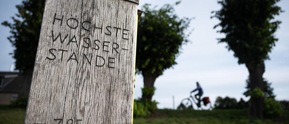Die Elbe soll bei Hochwasser mehr Raum haben, um sich auszubreiten. Ortschaften sollen so besser geschützt werden. (Archivbild)