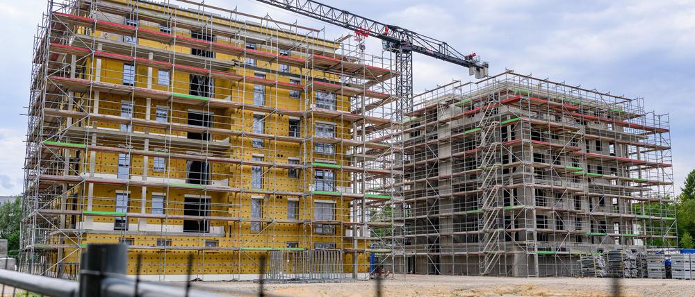 Der Wohnungsneubau gerät nach Angaben des Verbands Berlin-Brandenburgischer Wohnungsunternehmen (BBU) ins Stocken. (Archivbild)