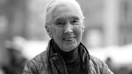 Die britische Verhaltensforscherin Jane Goodall steht nach einer Pressekonferenz im Presseclub auf dem Marienplatz. 