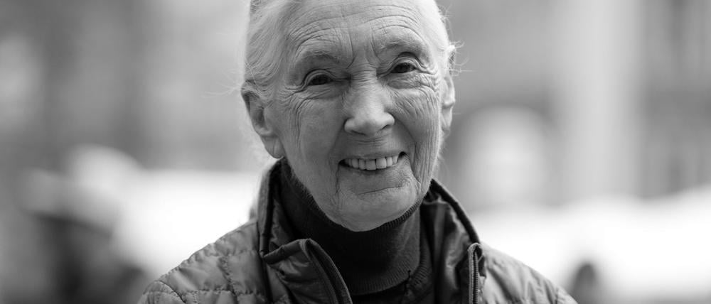 Die britische Schimpansen-Forscherin und Umwelt-Aktivistin Jane Goodall ist tot.