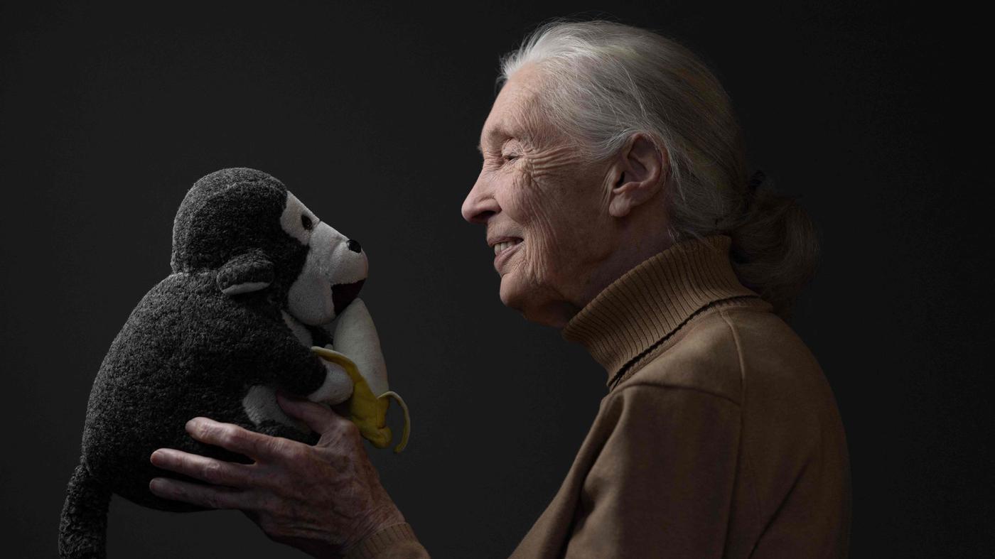 Zum-Tode-von-Jane-Goodall-Mit-einem-L-cheln-und-ausgestreckter-Hand