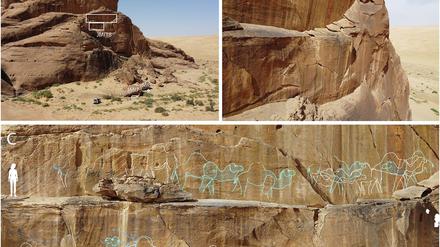 Unter Lebensgefahr gemeißelt: Monumentales Felskunst-Panel am Jebel Misma.