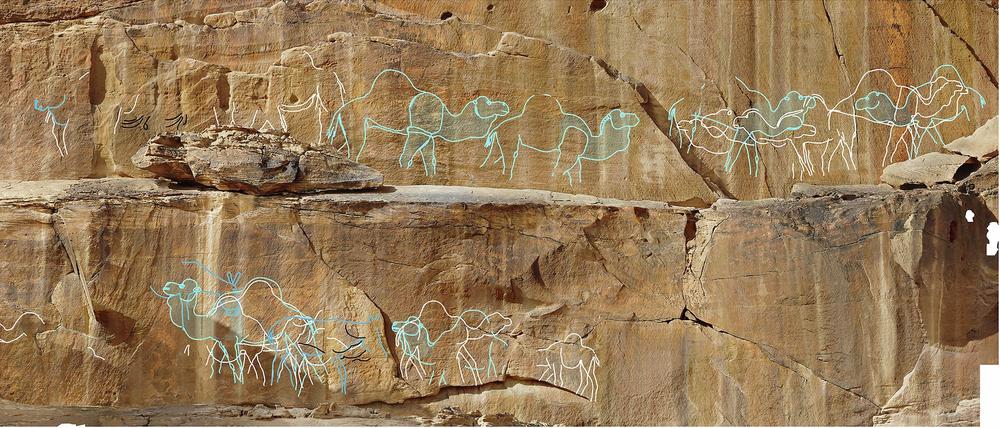 Unter Lebensgefahr gemeißelt: Monumentales Felskunst-Panel am Jebel Misma.