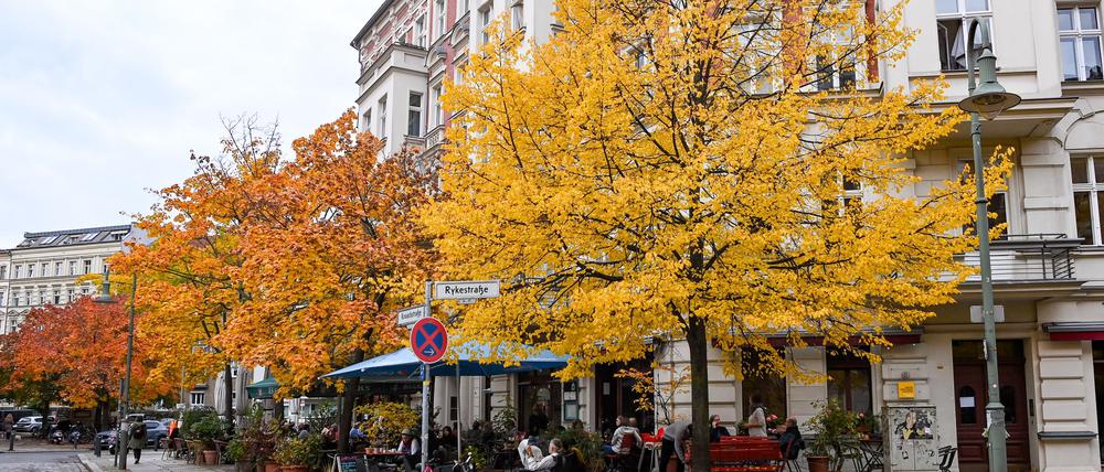 Vor allem der Samstag wird regnerisch in Berlin und Brandenburg. (Symbolbild)