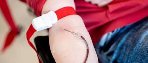 Das DRK ruft zu Blutspenden in den Herbstferien auf. (Symbolbild)