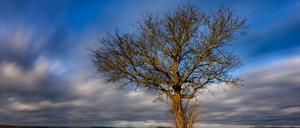 Das Wochenende ist in Berlin und Brandenburg laut DWD bewölkt und regnerisch. Bis zum Montag kommt es nach Angaben des DWD zu Wind- und Sturmböen. (Symbolbild)