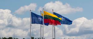ARCHIV - 09.07.2023, Litauen, Vilnius: Flaggen der Nato-Mitgliedsländer wehen im Wind vor dem Veranstaltungsort des Nato-Gipfels. (zu dpa: «Litauen verlängert Sperrung von Luftraum an Grenze zu Belarus») Foto: Mindaugas Kulbis/AP/dpa +++ dpa-Bildfunk +++