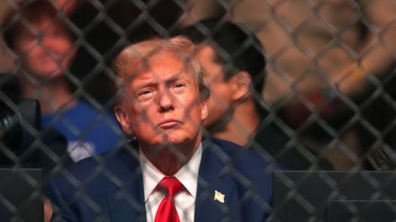 Trump gilt als Fan der Kampfsport-Liga UFC und saß mehrfach selbst im Publikum. (Archivbild)