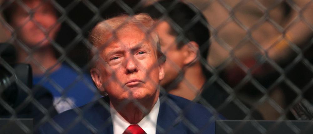 Trump gilt als Fan der Kampfsport-Liga UFC und saß mehrfach selbst im Publikum. (Archivbild)
