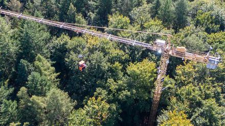 In einem Waldstück bei Demmin untersuchen Wissenschaftler und Wissenschaftlerinnen von Einrichtungen aus Mecklenburg-Vorpommern, Brandenburg und Berlin Bäume detailliert von den Wurzeln bis zur Krone - unter anderem mit einem 45 Meter hohen Drehkran.