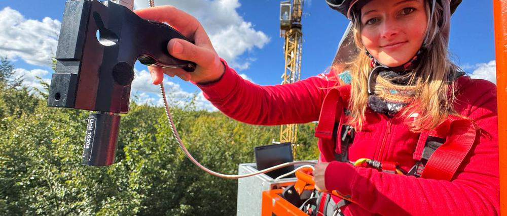 Für Pia Kräft ist die Gondel am 45 Meter hohen Drehkran, der zu Forschungszwecken in einem Wald bei Demmin steht, der „schönste Arbeitsplatz, den man sich vorstellen kann“.