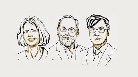 Die Nobelpreisträger in der Medizin 2025: Mary Brunkow, Fred Ramsdell und Shimon Sakaguchi (von links nach rechts).