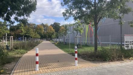 Der verpollerte Parkweg an der Werneuchener Wiese in Prenzlauer Berg, rechts im Bild die Schule, die als temporäre Schuldrehscheibe fungiert.
Foto: Patricia Wolf
