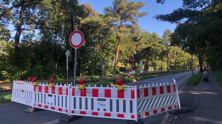 Das Märchenviertel in Köpenick-Nord ist vom Verkehr abgeschnitten /
Credit: Julia Schmitz