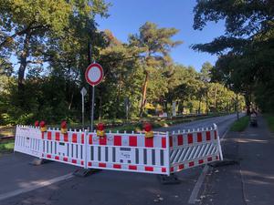 Das Märchenviertel in Köpenick-Nord ist vom Verkehr abgeschnitten /
Credit: Julia Schmitz