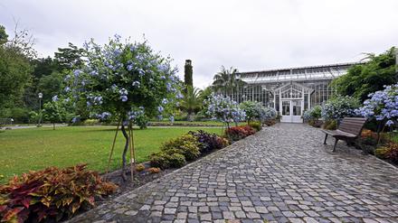 Gewächshaus im Botanischen Garten in Potsdam. (Archiv)