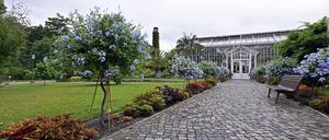 Gewächshaus im Botanischen Garten in Potsdam. (Archiv)