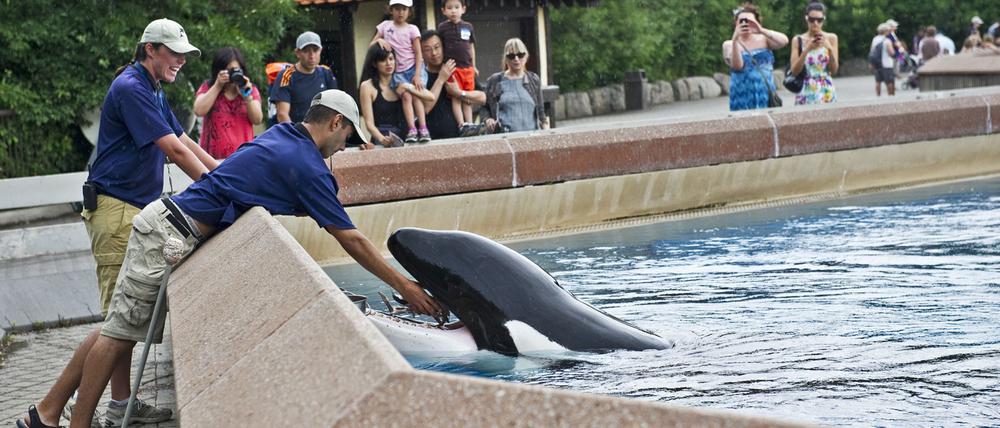 Der inzwischen geschlossene Freizeitpark in Kanada warnt, er müsse womöglich seine Tiere einschläfern. (Archivbild)