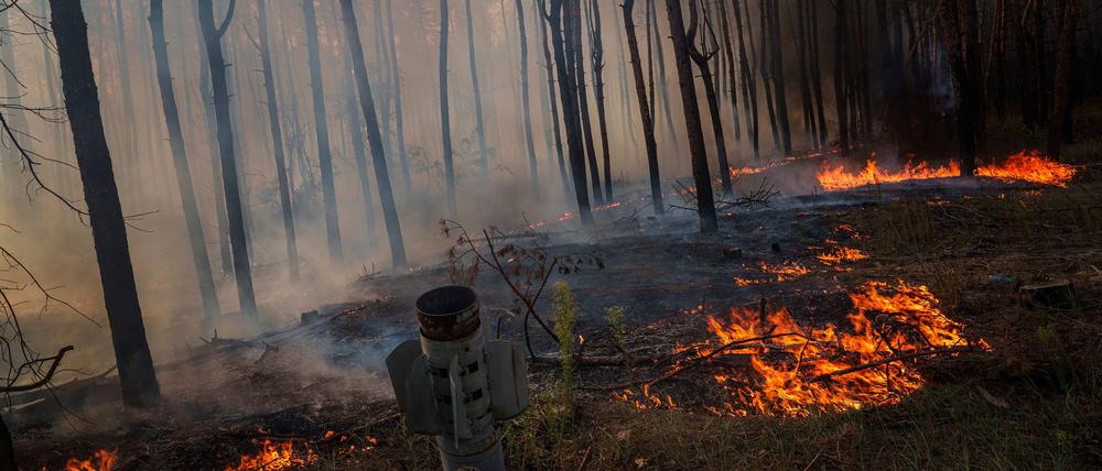 Waldbrände in der Ukraine, die viel Treibhausgase freisetzen, werden oft durch Gefechte ausgelöst. (Archivbild)