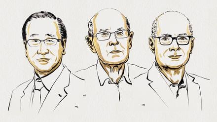 The Nobel Prize in Chemistry 2025 was awarded to Susumu Kitagawa, Richard Robson and Omar M. Yaghi "for the development of metal-organic frameworks."