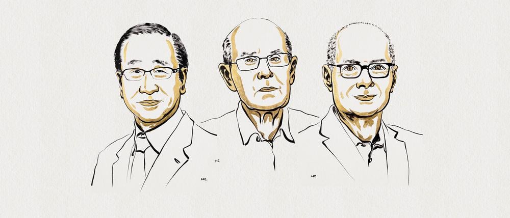 The Nobel Prize in Chemistry 2025 was awarded to Susumu Kitagawa, Richard Robson and Omar M. Yaghi "for the development of metal-organic frameworks."
