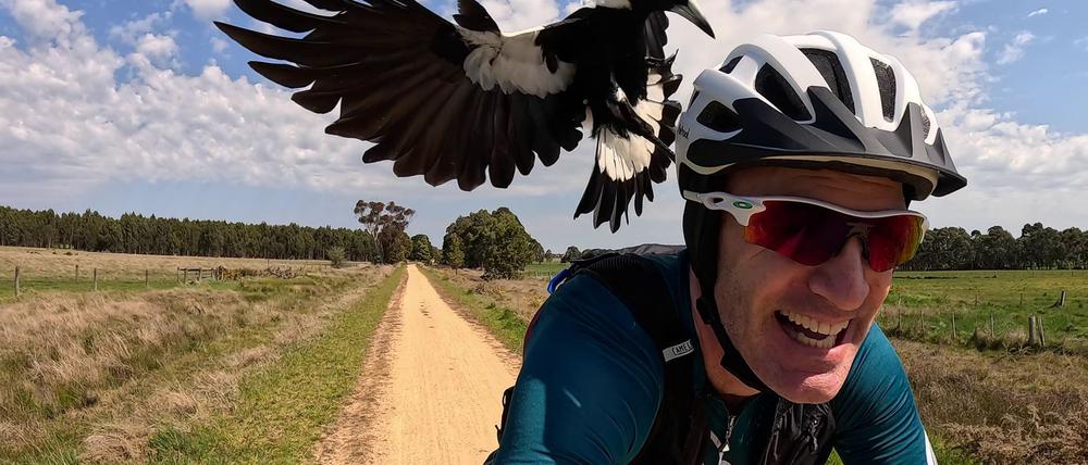 Radfahrer Shane Miller testet einen „PieProof“-Helm gegen Magpie-Angriffe.