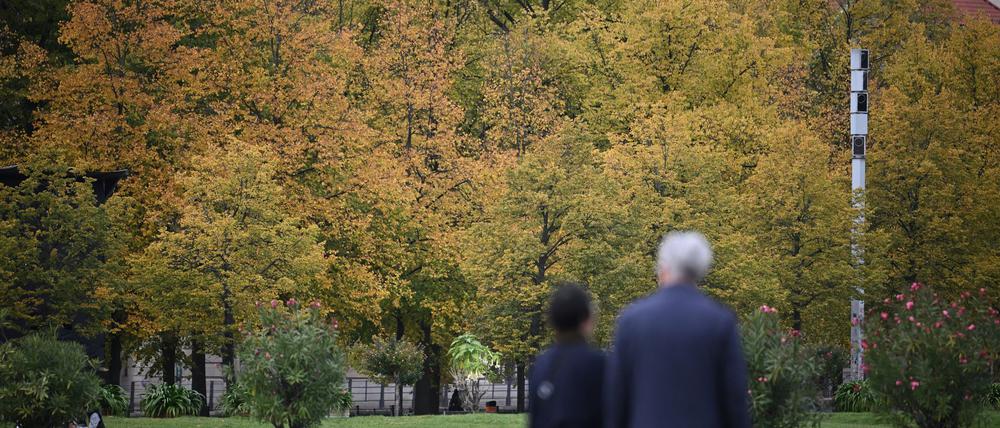 Der Berliner Klimaschutzrat warnt vor Kürzungen im Berliner Haushalt. (Symbolbild)