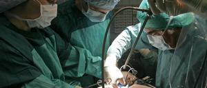 Organverpflanzungen können Leben retten, doch die Zahl menschlicher Spender ist zu gering.