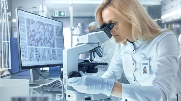 Eine Wissenschaftlerin betrachtet biologische Proben unter einem Mikroskop. Sie und ihre Kolleginnen und Kollegen arbeiten in einem großen, modernen Labor bzw. medizinischen Zentrum.