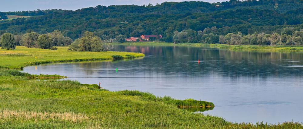 Der Nationalpark Unteres Odertal - eine geschützte Flussauenlandschaft im Nordosten von Brandenburg - besteht seit 30 Jahren. (Archivbild)