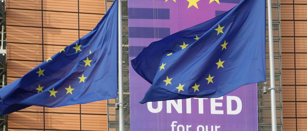 Die Europäische Kommission hat bisher 19 Standorte für große KI-Fabriken ausgewählt. (Archivbild) 