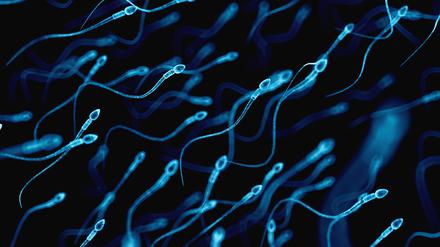 Mit dem Alter von Männern nimmt das Risiko krankheitsfördernder Mutationen in den Spermien zu.