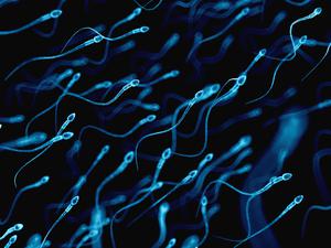 Mit dem Alter von Männern nimmt das Risiko krankheitsfördernder Mutationen in den Spermien zu.