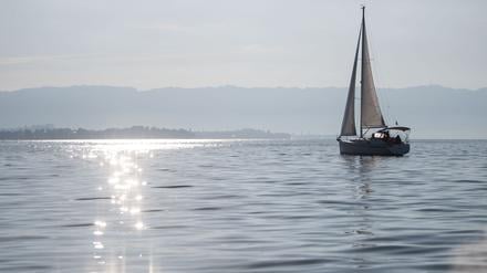 Ein Segelboot fährt auf dem Bodensee, auf dessen Wasser durch die Sonne glitzert.