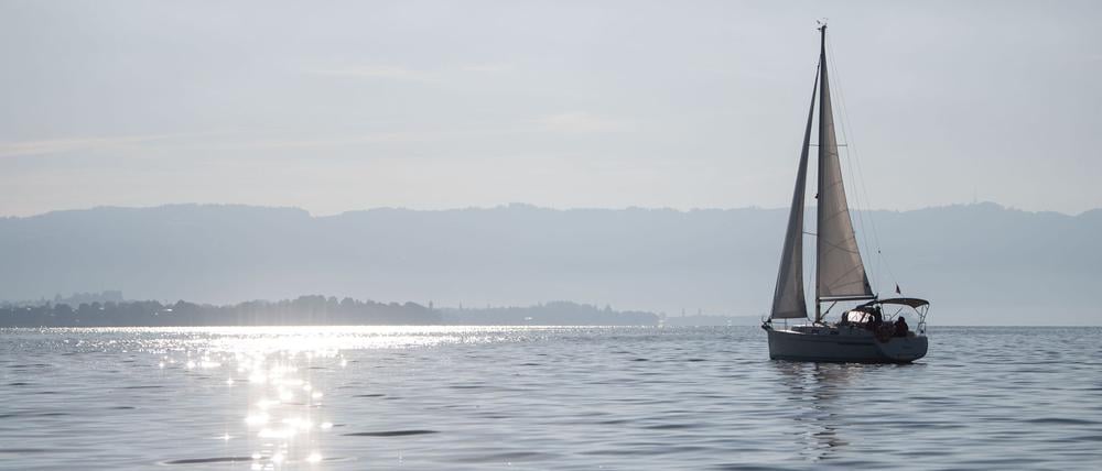 Ein Segelboot fährt auf dem Bodensee, auf dessen Wasser durch die Sonne glitzert.