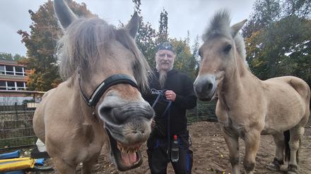 Die Fjordpferde Nicole (links) und Bobbi sowie André Sroka, pädagogischer Mitarbeiter auf dem Abenteuerspielplatz Robinson in Berlin-Hohenschönhausen.