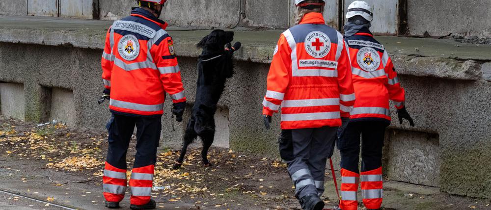 Mehrere Rettungshundestaffeln suchen in Güstrow nach einem Jungen.