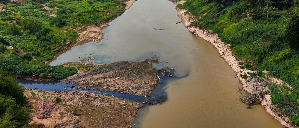 Der Amazonas gehört zu den gefährdeten Systemen.