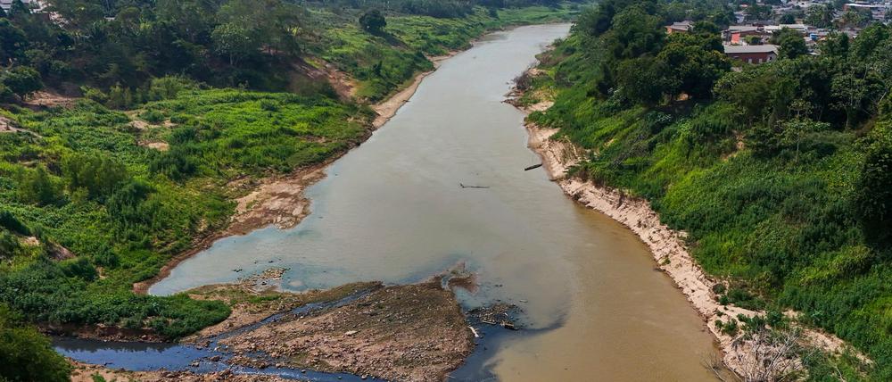 Der Amazonas gehört zu den gefährdeten Systemen.