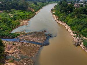 Der Amazonas gehört zu den gefährdeten Systemen.